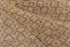 Vintage Mosaic Area Rug (10' x 15')